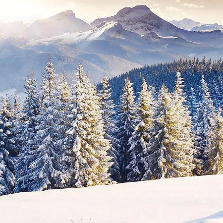 Feel At Cozy Near Ski Lift Lejlighed